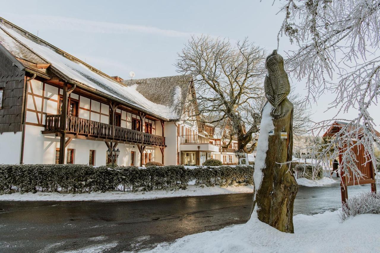 Waldhotel Kreuztanne Sayda Экстерьер фото