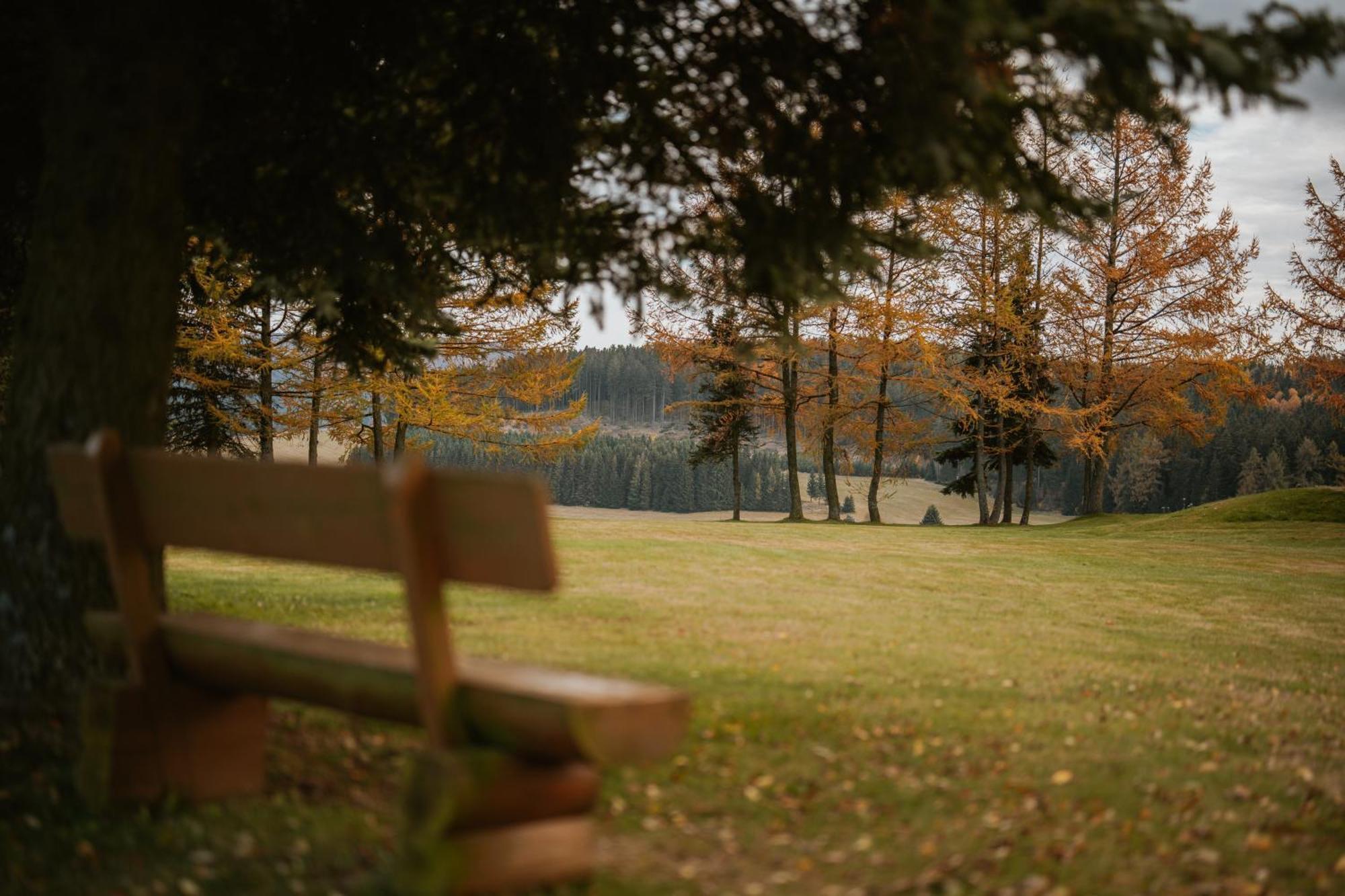 Waldhotel Kreuztanne Sayda Экстерьер фото